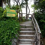 Al Bosco Campsite Grado