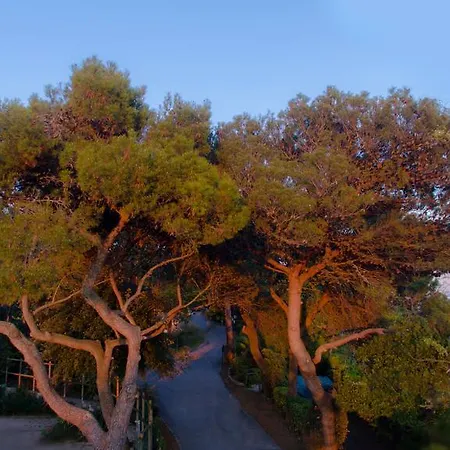 Al Bosco 2* غرادو