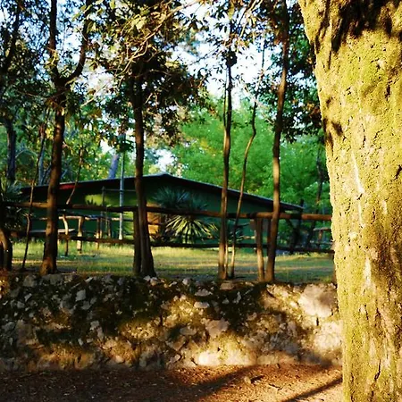 Al Bosco مكان تخييم